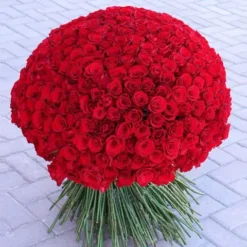 500 Red Roses Bouquet